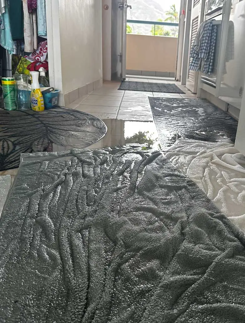 There for the disasters too - Kitchen Flood!